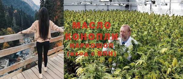 гашик Кукмор