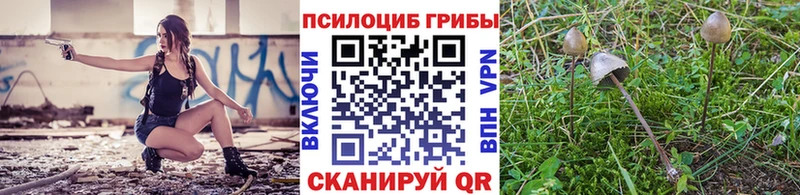 Купить  Змеиногорск  Псилоцибиновые грибы ЛСД 